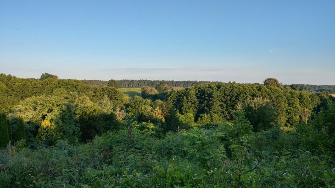 Villa Przystanek Bajka W Puszczy Zielonce Dabrowka Koscielna Esterno foto