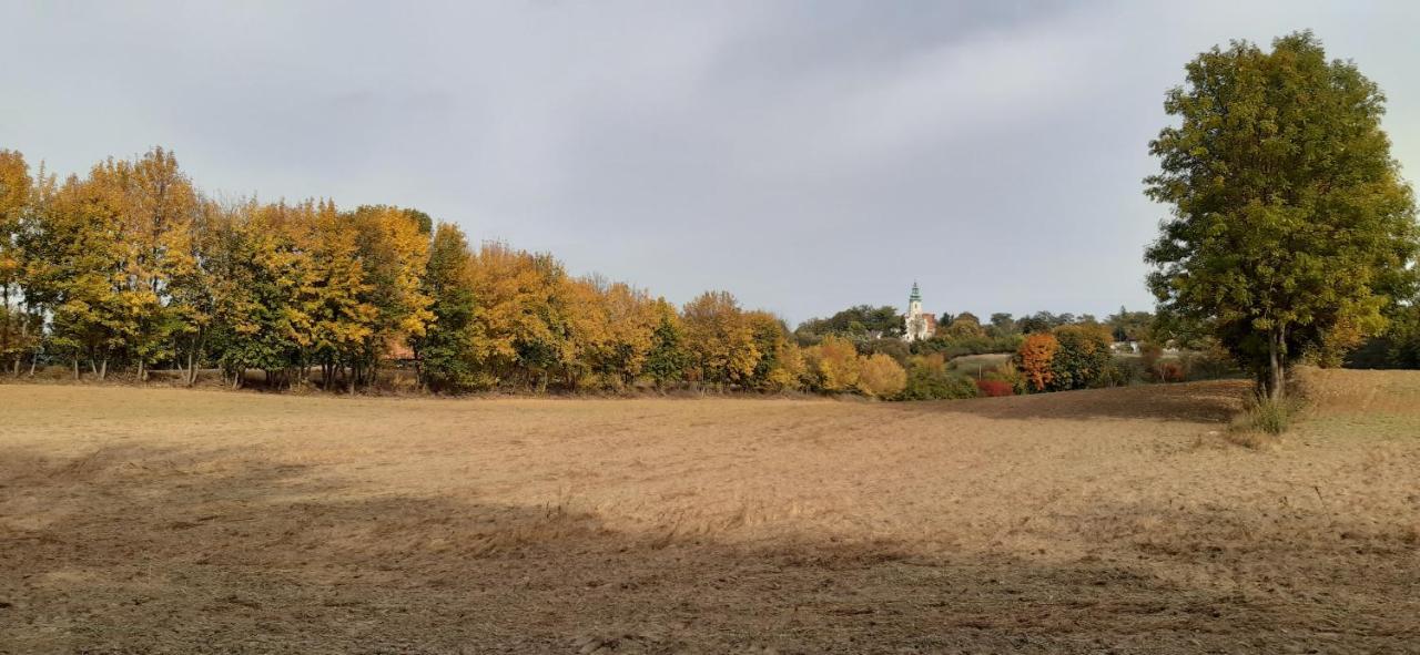 Villa Przystanek Bajka W Puszczy Zielonce Dabrowka Koscielna Esterno foto